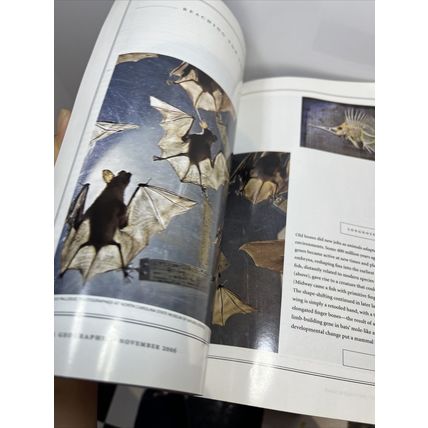 National Geographic Magazine November 2006 Earliest Child Collectable