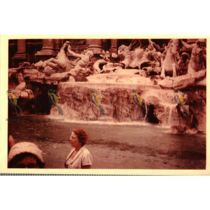 Trevi Fountain, Rome, Italy, Kodak Photograph/Postcard, 1957