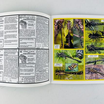Dragonflies of Wisconsin Paperback Book by Karl Legler 2007