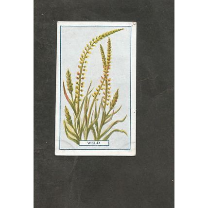 Cigarette Card Gallaher Plants of Commercial Value 1917 #3 Weld