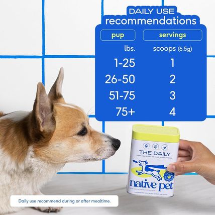 Native Pet Dog Vitamins & Supplements - 11-In-1 Multivitamin Powder for Dogs Foo