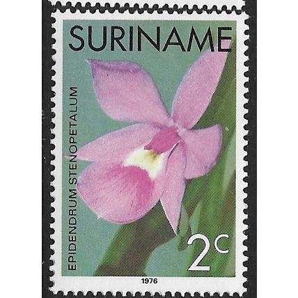 1976 Michel 711 - MNH (**)
