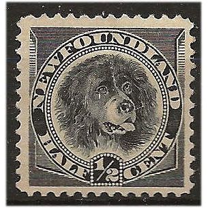 Newfoundland 1894 SG59 1c Black Mounted Mint .. ..