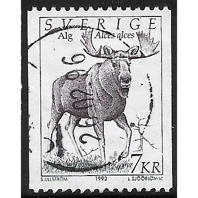 1992 Michel 1703 - fine used (o)