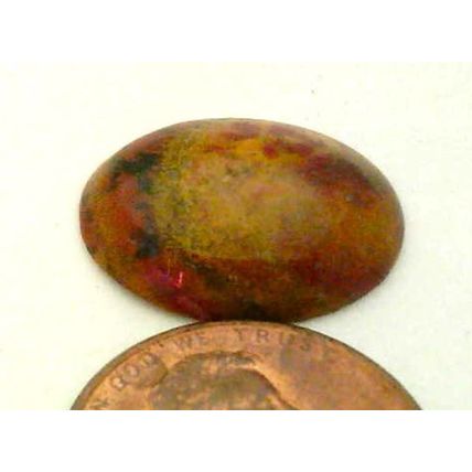 Petrified Wood Freeform Gemstone Cabochon 295