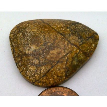 Picture Jasper Freeform Gemstone Cabochon 95