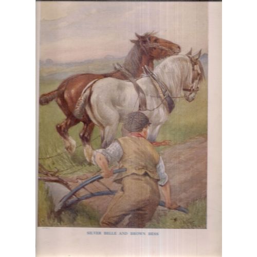 2 x SHIRE HORSES PLOUGHING illustration by Albert Kaye 335 x 240 mm book plate #