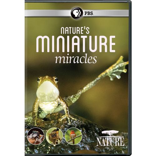 Natures Miniature Miracles (DVD) PBS Nature NEW