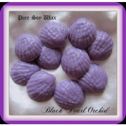 Ten Highly Scented Soy Wax Seashell melts ⭐ Black Pearl Orchid Fragrance Oil⭐