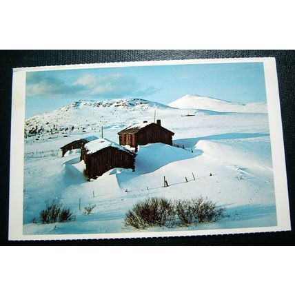 Norway - Hovringen - Postcard