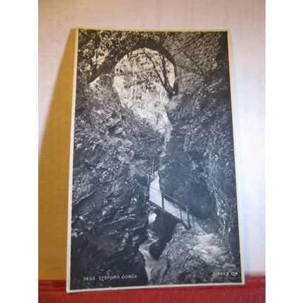 LYDFORD GORGE, TAVISTOCK, DEVON unused antique postcard by Judges. 7405 =