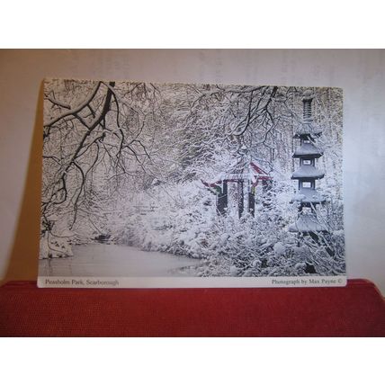 A SNOWY PEASHOLM PARK by Max Payne, SCARBOROUGH, YORKSHIRE unused postcard (A) =