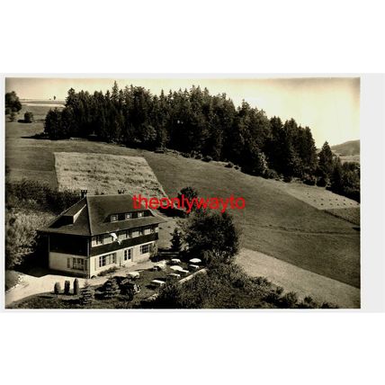 Todomoos, (Schwartzwald), Hotel Weidberghaus, Germany, RP Postcard