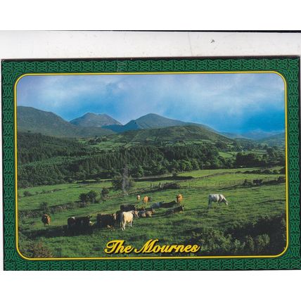 Mournes Northern Ireland Postcard posted 2009 marks on face
