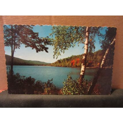 SHELLMOUTH DAM, RUSSELL, MANITOBA, CANADA unused postcard =