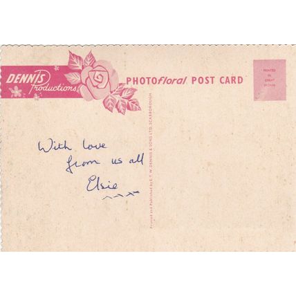 Roses Dennis Photofloral Postcard unused VGC