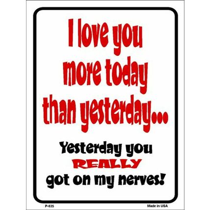I Love You More Today Than Yesterday Got On My Nerves 9x12 Metal Sign funny