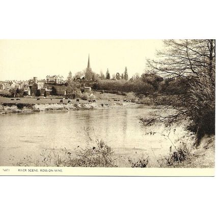 ROSS-ON-WYE - Herefordshire - Real Photo Postcard (BBB)