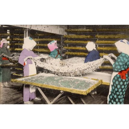 Japan Tokyo Silk Worms Taking Their Third Sleep Silkworm Old Postcard