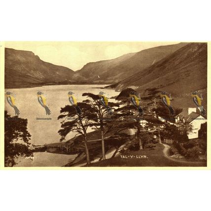 Tal-y-Llyn, Wales, Valentines Phototype Postcard