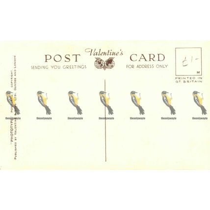 Tal-y-Llyn, Wales, Valentines Phototype Postcard