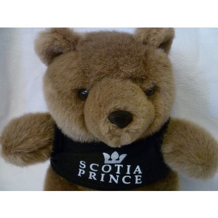 RARE SCOTIA PRINCE TEDDY BEAR with BLUE T-SHIRT cruise & ferry line OOB in 2004