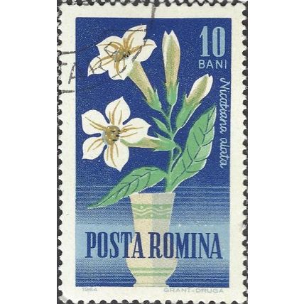 ROMANIA, FLOWER, Nicotiana alata, blue 1964, 10bani, #3