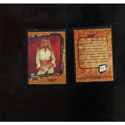 Terri Runnels WWE 2002 Fleer Absolute Divas Card #17 Wrestling HOT!!!