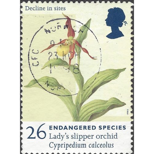 GB, FLOWERS, Lady's Slipper Orchid, cream 1998, 26p