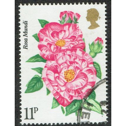 1976 Centenary of National Rose Society 11p Multicoloured SG1008 FU