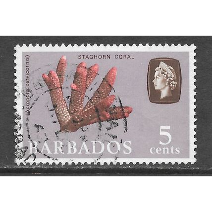 BARBADOS 1965 SG346 5c SIDEWAYS WATERMARK STAGHORN CORAL USED
