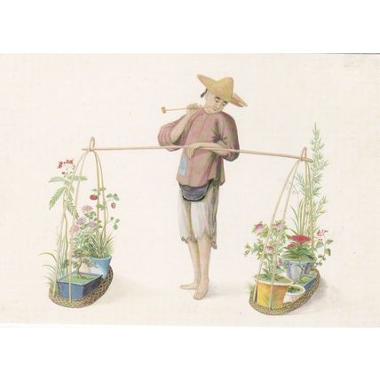 Seller of Flowering Plants China about 1790 Postcard unused VGC