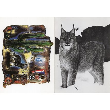 Coyote European Lynx Cat Cactus 2x Art Painting Postcard s