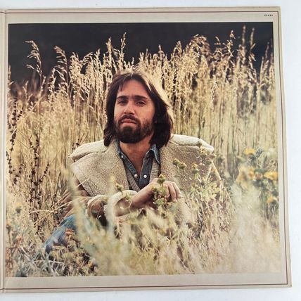 Dan Fogelberg – Phoenix Vinyl LP Record Album FE-35634