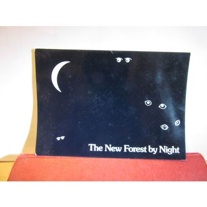 THE NEW FOREST BY NIGHT, HAMPSHIRE unused postcard, by J. Salmon =