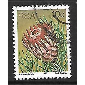SOUTH AFRICA 1977 SUCCULENTS 10c P ARISTATA SG 423 FINE USED#2