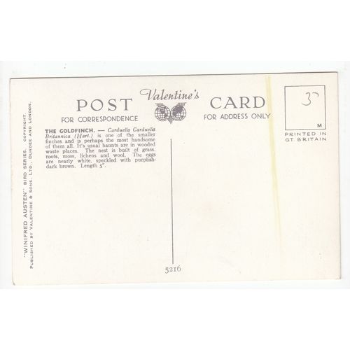 Winifred Austen Postcard The Goldfinch Bird Art 5216