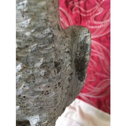 Aftican Art Shona Hand Carved Stone Eagle 4.5 kg Over 12” Inches Collectable
