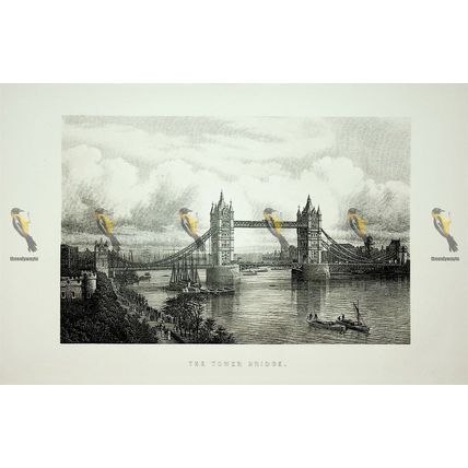 Tower Bridge, London, England, Book Illustration (Print), 1895