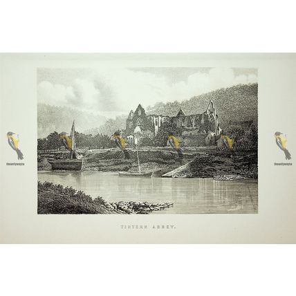Tintern Abbey, Monmouthshire, Wales, Book Illustration (Print), 1895