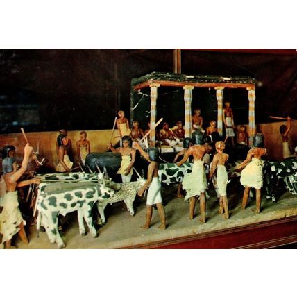 Cattle Review Egyptian Museum Cairo 11th Dynasty Sculpture Postcard