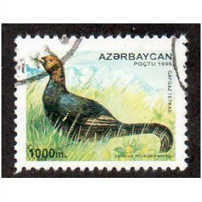 AZB 1995 1000m 'BIRDS ' FINE USED (EBID10122)