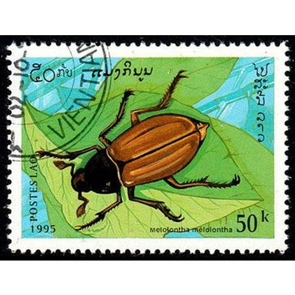 Laos 1995 Insects 50k Used Stamp Beetle