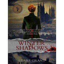 Winter Of Shadows