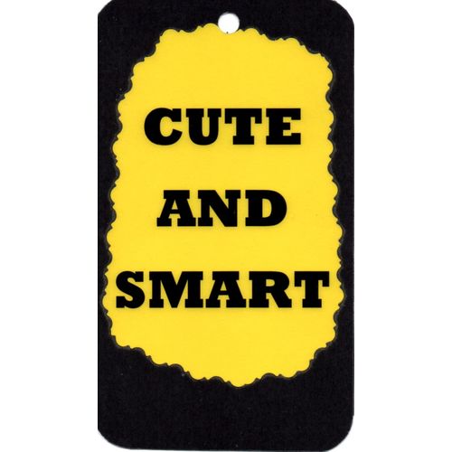 3321 Cute And Smart Humorous Saying Sign Magnet Gift