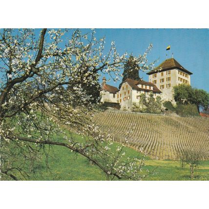Schloss Heidegg Switzerland Postcard unused VGC
