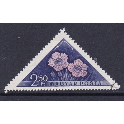 HUNGARY 1958 FLOWERS 2.50ft VALUE USED SG1525