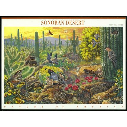 Sonoran Desert Nature Series Sheet of Ten 33 Cent Postage Stamps Scott 3293