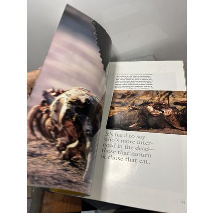 National Geographic Magazine November 2000 Libya - Vintage Collectable