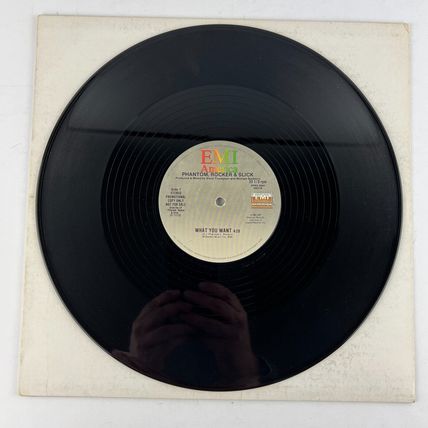 Phantom, Rocker & Slick - What You Want Single PROMO Vinyl Record SPRO-9564